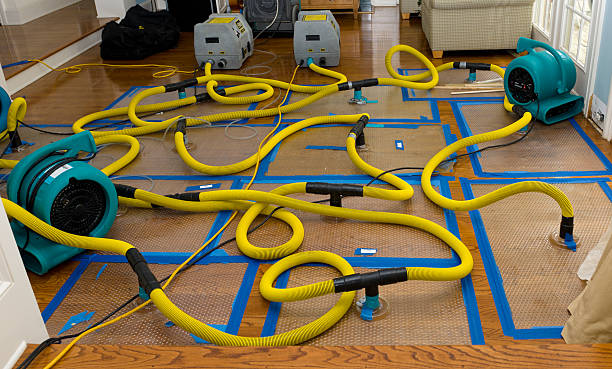 Professional Water Damage Restoration technician working in Maypearl, TX